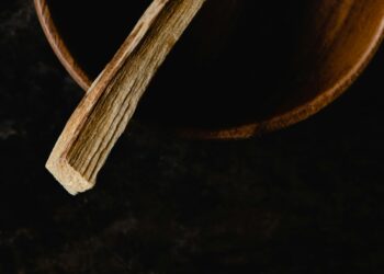 Chewing Sticks vs. Toothbrush: Can This Ancient Tool Offer Modern Benefits?