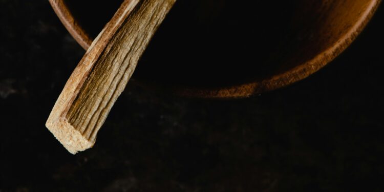 Chewing Sticks vs. Toothbrush: Can This Ancient Tool Offer Modern Benefits?