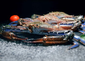 Defrost Frozen Food in Minutes: Safe and Simple