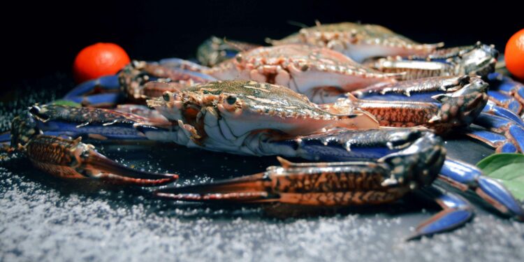 Defrost Frozen Food in Minutes: Safe and Simple