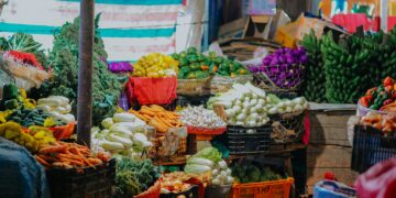 What’s Driving the Skyrocketing Cost of Food in Nigeria?