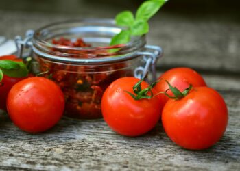 How to Plant Tomatoes at Home: A Beginner’s Guide