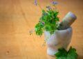 Top 10 Herbal Medicines You Should Have In Your Drug Cabinet