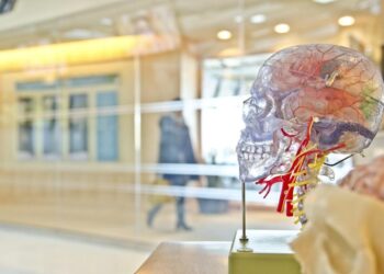 Cerebrospinal Fluid Drainage: Procedures, Management, and Complications