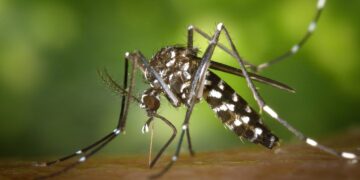 Its Mosquito Season! Over 50 Recorded Cases on West Nile Virus