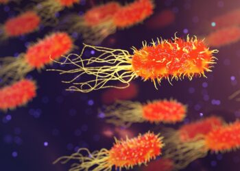 Burning Sensation When Peeing? It Could Be UTIs