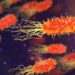Burning Sensation When Peeing? It Could Be UTIs