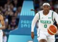 Nigeria’s D’Tigress lose to USA in pulsating quarterfinal at Paris 2024 Olympics