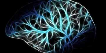 Hydrocephalus AKA “Water on The Brain”: Definition, Symptoms and Causes