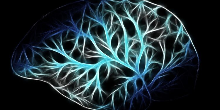 Hydrocephalus AKA “Water on The Brain”: Definition, Symptoms and Causes