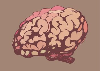 Hydrocephalus AKA “Water on The Brain”: Definition, Symptoms and Causes