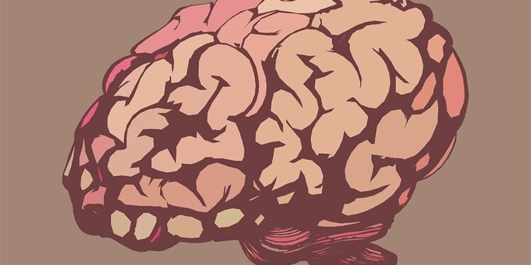 Hydrocephalus AKA “Water on The Brain”: Definition, Symptoms and Causes