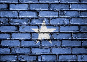 Somalia’s Cabinet Approves Bill for Universal Suffrage