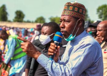 Borno Protest: Zulum Slams Hijackers