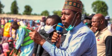 Borno Protest: Zulum Slams Hijackers