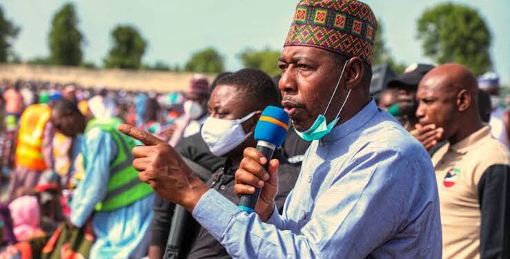 Borno Protest: Zulum Slams Hijackers