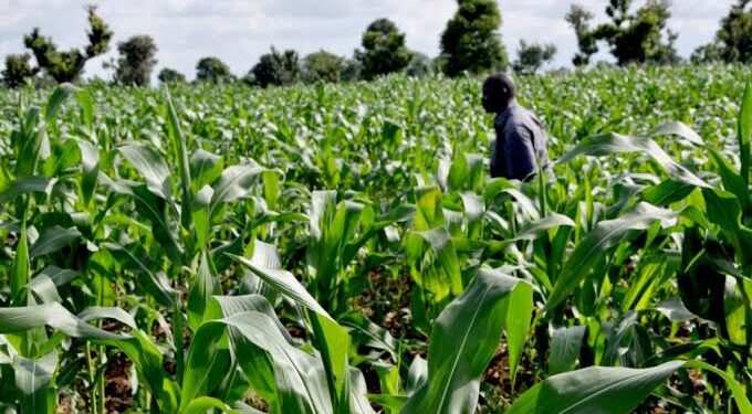 CAN Declares Three-day Fast Due to Lack of Rains in Taraba