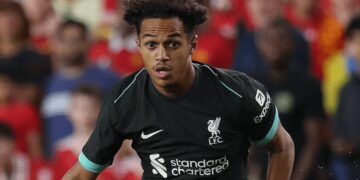 Fabio Carvalho Joins Brentford in £22.5 Million Deal from Liverpool