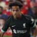 Fabio Carvalho Joins Brentford in £22.5 Million Deal from Liverpool