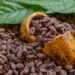 Nigeria’s Cocoa Exports Surge 304% In Q1 2024