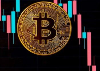 Bitcoin Slumps After Trump’s Debt Comment