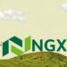 NGX Banking Sector Exhibits Recovery Signs, Outperforms Other Sectors