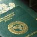 Torn International Passport Saga: Nigerian Woman Gets Arrested, Moved to Abuja