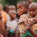 UNICEF Warns of Rising Malnutrition Issue in Northeast Nigeria
