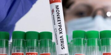 The 2024 Mpox Outbreak: History, Symptoms, and Mode of Transmission