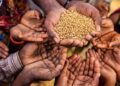 Federal Government Takes Action as Nigeria’s Food Crisis Deepens