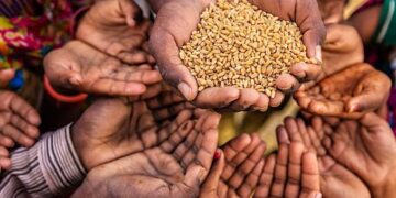 Federal Government Takes Action as Nigeria’s Food Crisis Deepens