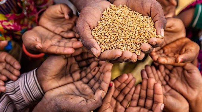 Federal Government Takes Action as Nigeria’s Food Crisis Deepens