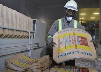 BUA Cement Records 27.4% Revenue Growth in 2023, Despite Challenges