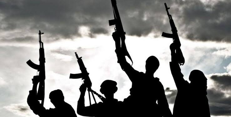 Gunmen Abduct Over 20 Nigerian Medical & Dental students in Benue