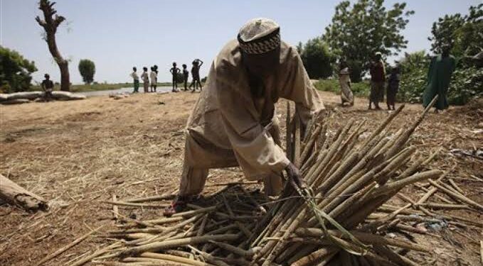 Tiv Group Condemns Brutalization of Kinsmen in Taraba