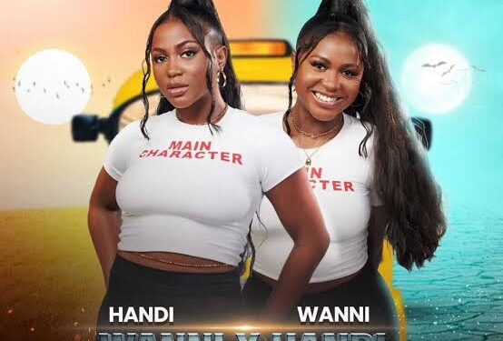 BBNaija: Mickey Targets Wanni and Handi for Elimination