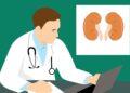 Kidney Stones: What Are They and Why Do They Form?