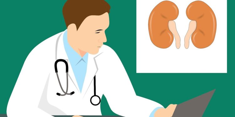 Kidney Stones: What Are They and Why Do They Form?