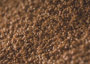 War-Torn Ukraine Fights to Keep Grain Flowing