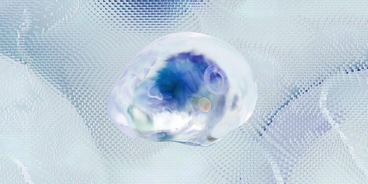 Cerebrospinal Fluid Drainage: Top 2 Methods Used In Cerebrospinal Fluid Drainage