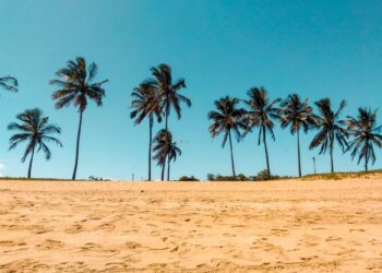 Death Toll from Somali Beach Attack Climbs to 32