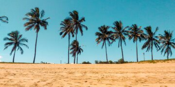 Death Toll from Somali Beach Attack Climbs to 32