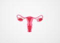 Basic Things To Know About Ovarian Torsion