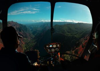 Nigerian Pilot Faces Five-Year Jail Term for Forging Statements in US