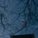 Russia’s Hidden Agenda: Hostage Rescue or Power Play in Niger