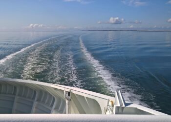 Ukrainian Attack Fells Russian Ferry Transporting Fuel