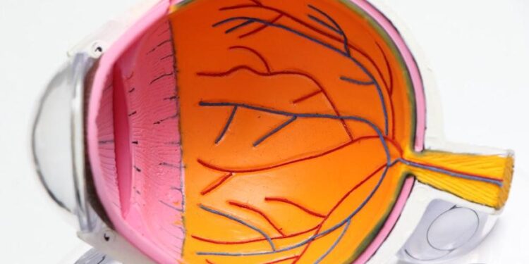 Orbital Fat: Non-surgical and Surgical Approaches To Fix Puffy or Sunken Eyes