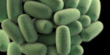 Botulism Spores: Characteristics, Sources, and Risk Factors