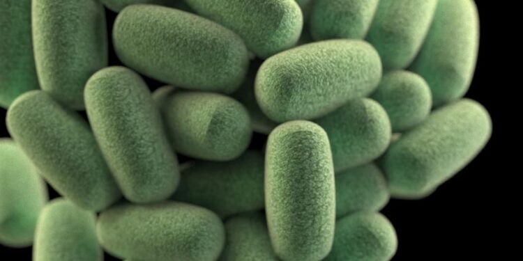 Botulism Spores: Characteristics, Sources, and Risk Factors