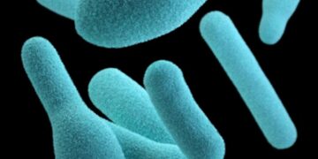 Botulism: Treatment and Prevention